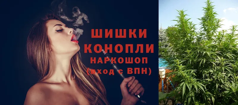 Бошки Шишки OG Kush  купить наркотики сайты  Высоковск 